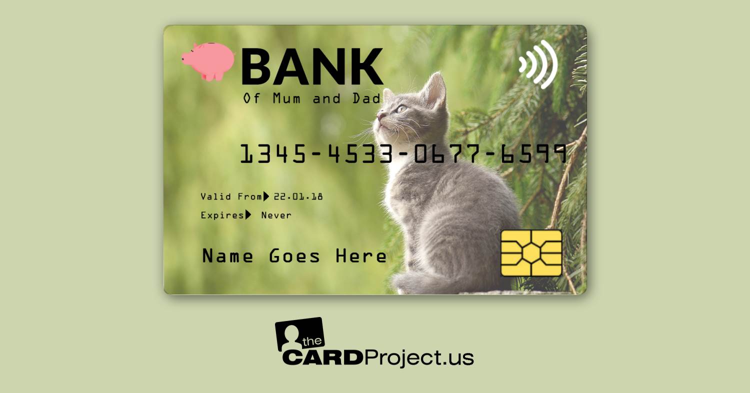 Kitten Toy Credit Card